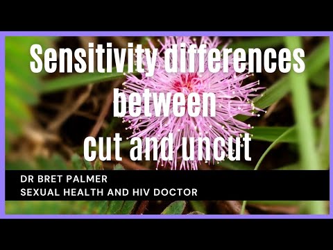 Uncut vs cut: Which is better for pleasure? Find out now!