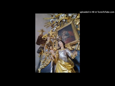 HL. EVANGELIUM + Predigt am Herz-Marien-Samstag - 1.9.2018