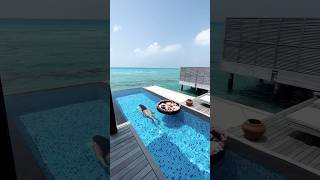 Best honeymoon destination ✨ #travel #maldives #vacation #couple #honeymoon