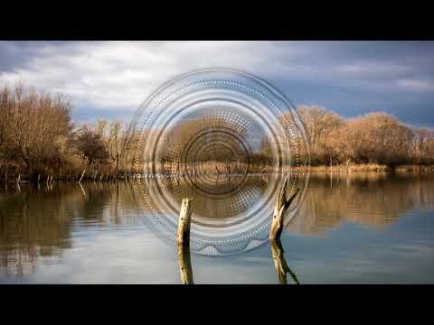 Dreems - Milk Beach [Multi Culti]