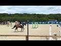 Grand cheval &agrave; vendre