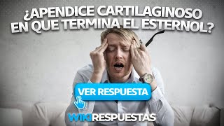 Cual es el apendice cartilaginoso en que termina el esternon | Wikirespuestas