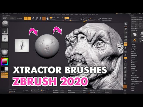 How to Use the XTractor Brushes in ZBrush 2020