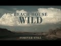 Beach House - "Wild" - Forever Still 