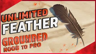 Grounded Bird Feather Location | Easiest Way to Get Feather in Grounded