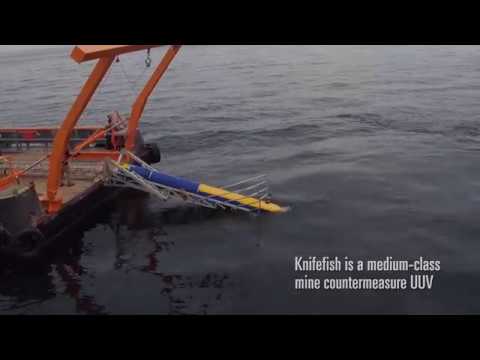 Knifefish Video 2371