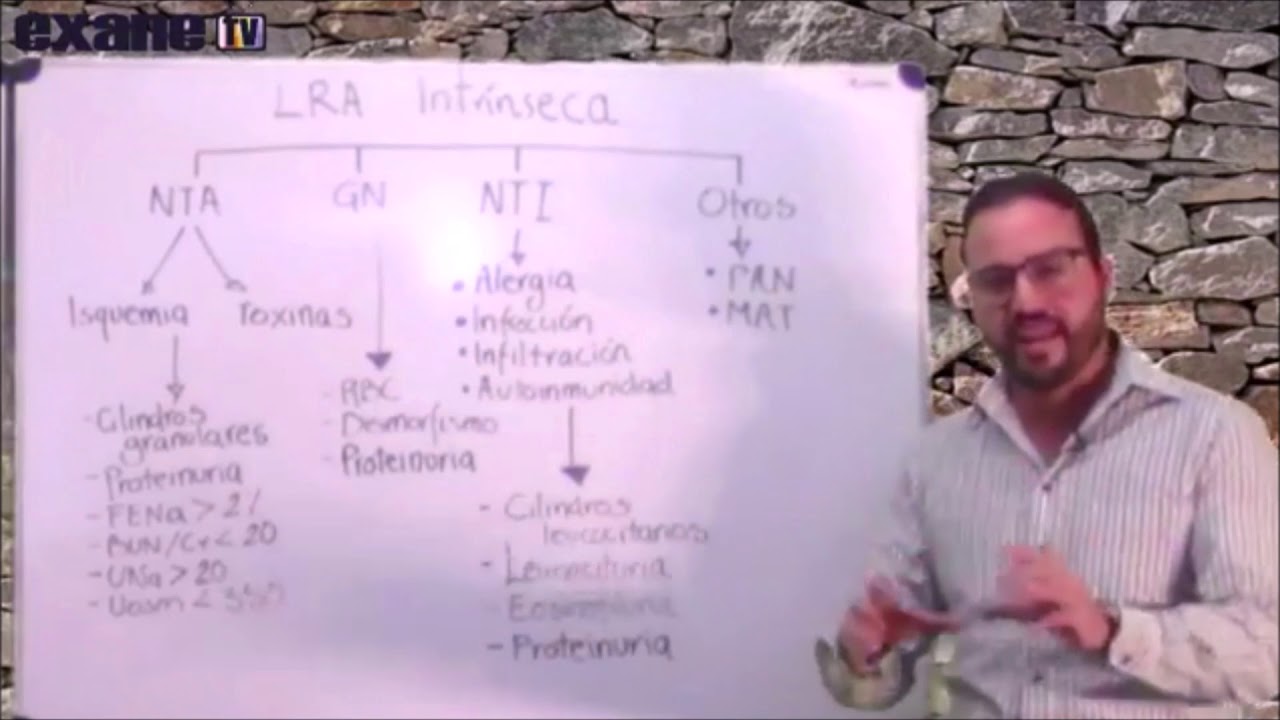 Luis Adrián Estrada Loyo-41