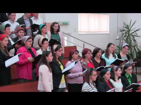 Program: 04 Decembrie 2016 - Dimineata