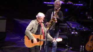 SUBURBANO. HOMENAJE A AUTE. ¡ÁNIMO ANIMAL!