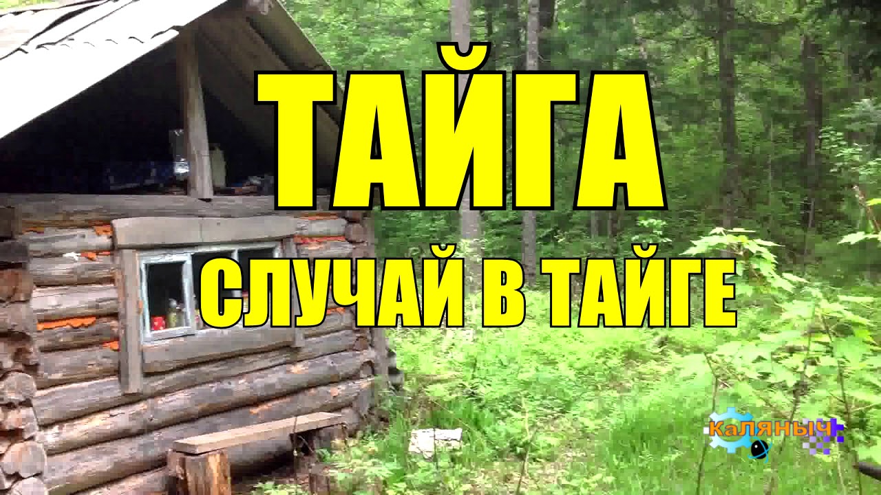 Каляныч рассказы о тайге. Беседка в тайге. Рассказы коляныча про тайгу слушать. Каляныч 35 лет в тайге. Тридцать пять лет в тайге.