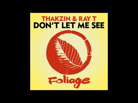 Thakzin & Ray T - Don't Let Me See