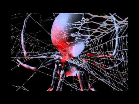 "Spiders" Creepypasta