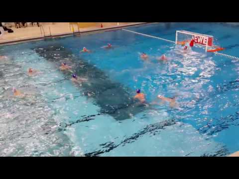 Fynn Schützes Tore gegen Waspo 98