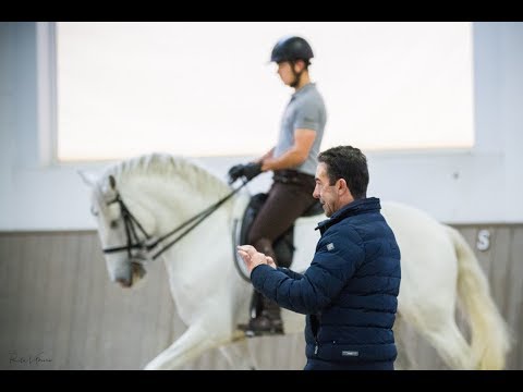 Training Session with the olimpic rider Daniel Pinto