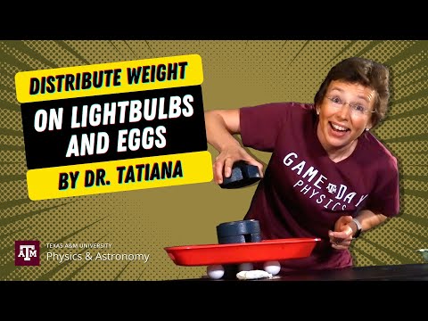 Weight distribution on light bulbs and eggs, a physics demonstration