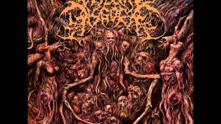 Visceral Disgorge - Spastic Anal Lacerations