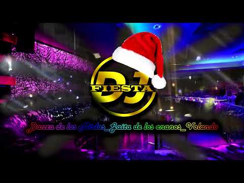 Mix_Danza de los mirlos_Gaita De los enanos _Volando  Dj Fiesta