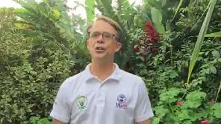 Download lagu porono nyarwanda tv live mp3