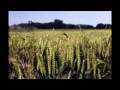 Lucky Dube Reap What You Sow