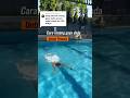 Cara Berenang Gaya Dada Dengan Cepat ‍ ️ Renang Swimming Swimmingtips Finswimming