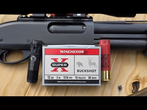Winchester Super X 12ga 3" 15 Pellet 00 Buck Test W/ Remington 870 & Carlson's .700 Buckshot Choke