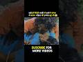Dandupalyam South Movie Shorts Youtubeshorts Viral