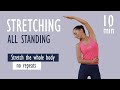 10 MIN STRETCHING ALL STANDING / Dehnen im Stehen ohne Matte | Katja Seifried