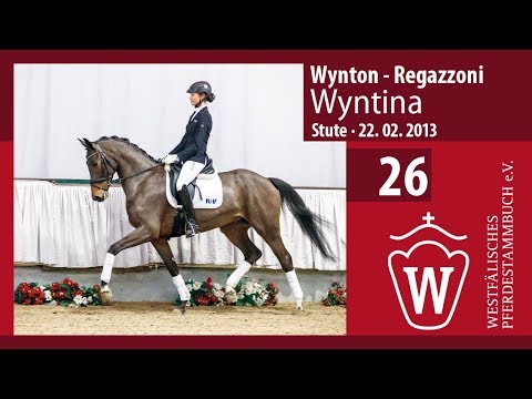 26 Wyntina Stute v. Wynton - Regazzoni