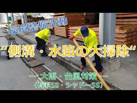  Storm Ciaran: 滑りやすい木製デッキに対処するための 6 つの専門家による滑り止めのヒント  庭園