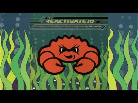 Reactivate 10 - Snappy Cracklepop Techno - Mixed by Blu Peter - 1995