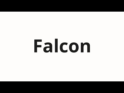 How to pronounce Falcon