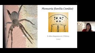 Capacitação em Acidentes por Animais Peçonhentos - 2º dia