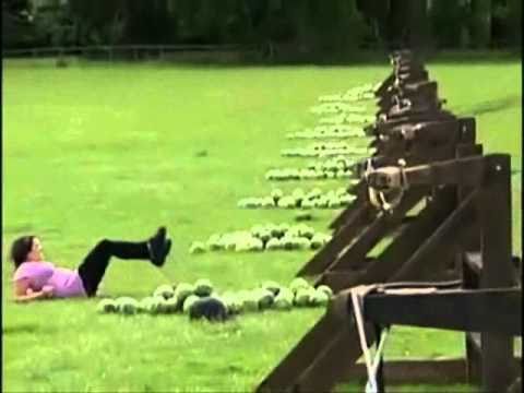 Watermelon Headshot / Family Guy peng voll in die Fresse