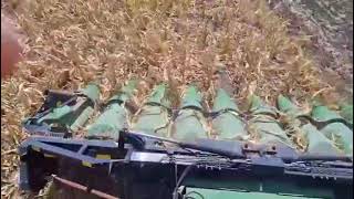 Heder de porumb Geringhoff Disc Wheel Corn Harvesting Equipment | Imagine 4 - Agroline