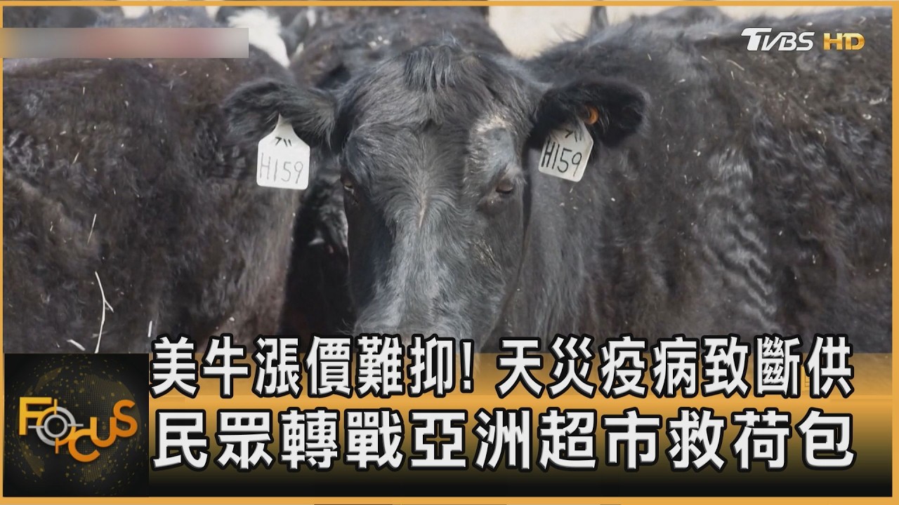 FOCUS全球新聞／美牛漲價難抑！天災疫病致斷供　民眾轉戰亞洲超市救荷包