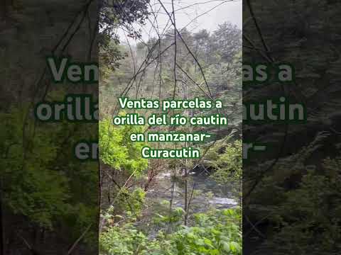 Ventas parcelas a orillas del río Cautin, en Manzanar-Curacautin