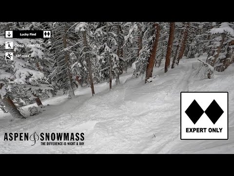 Temerity - Aspen Highlands [4K]