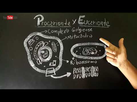 Células PROCARIONTES e EUCARIONTES - Citologia