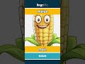 maize - maíz video thumbnail