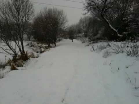 Walkers Dam, Wakefield