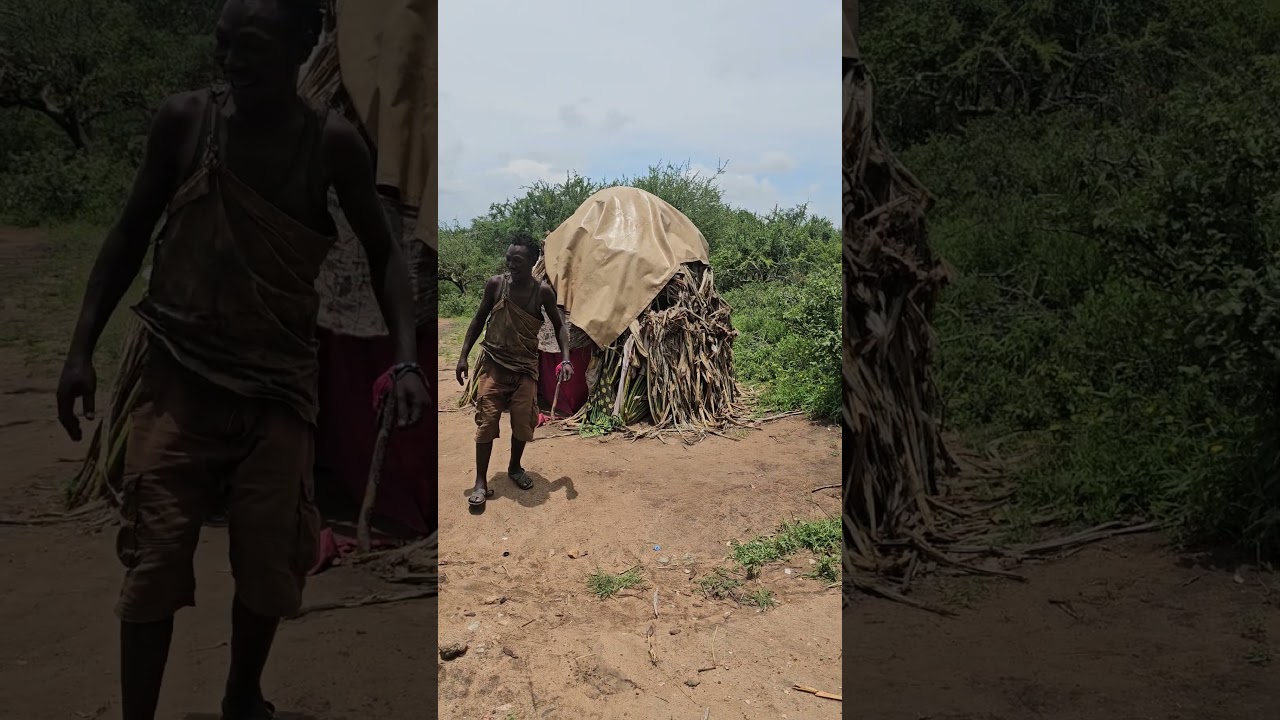 🤣🤣🤣 #africa #animals #ihavethisthingwithplants #bushman #wildanimals #nature