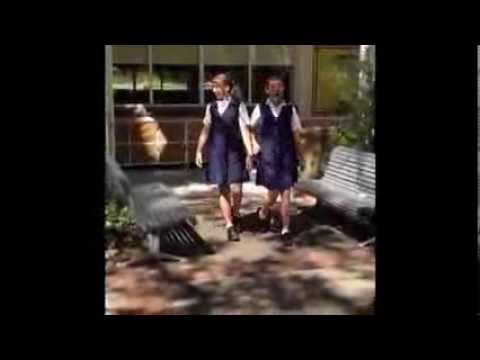 THE WISE AND FOOLISH BUILDERS