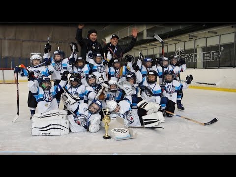 Bílí Tygři Liberec: ročník 2012 (16.3.2019) LIBERECKÝ POHÁR