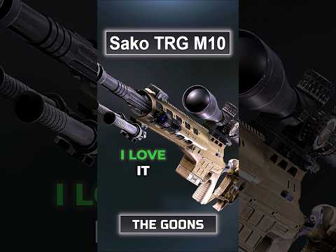 SAKO Sniper vs GOONS