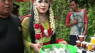 Download lagu tole-tole pelog EBEG WIJAYASARI mp3