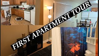 FIRST APARTMENT TOUR|2020