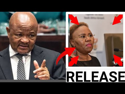 LA MOGLIE DELL'AVVOCATO MKHWANAZI È STATA RILASCIATA DAL MINISTRO DELLA POLIZIA SUDAFRICANA NELLA...