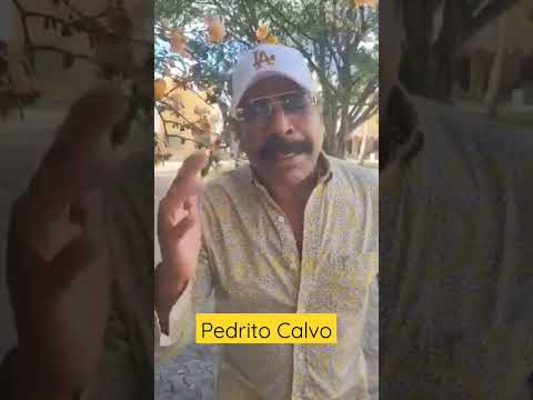 Atención VanVaneros #losvanvan #shortsyoutube #shortsvideo #shortsfeed #shortsviral #veracruz