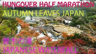 Nov 7th Japanese Autumn leaves, waterfalls, half marathon and driving on a Mini Adventure