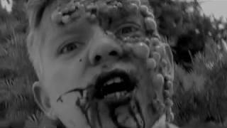 The New World Horror (2018) Video
